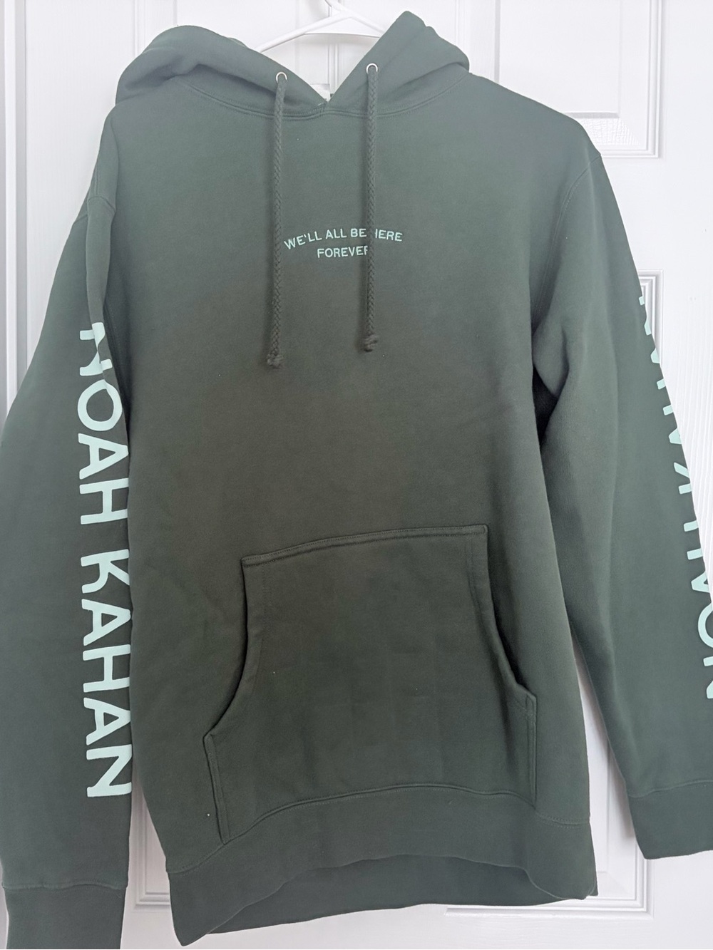Noah Kahan stick season "We'll All Be Here Forever" merch green hoodie sz- small